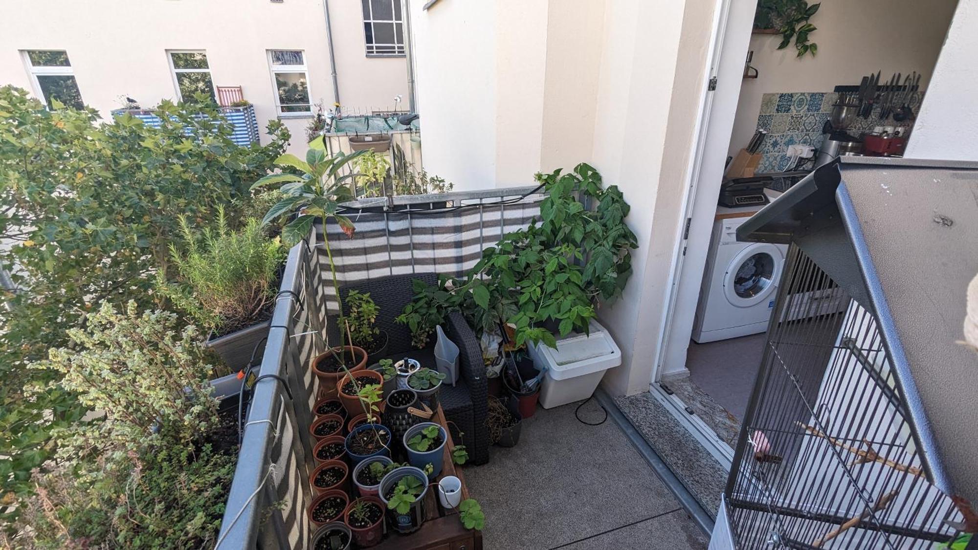 Cosy Flat In Berlin'S Trendy Area Apartment Екстериор снимка